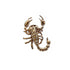 Lapel Pin Brooch for Men
